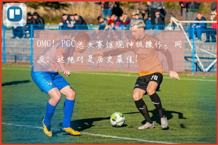OMG！PGC总决赛惊现神级操作，网友：这绝对是历史最佳！